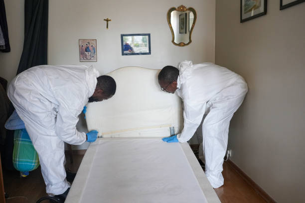 Bed bug management service